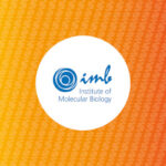 imb - Bühne