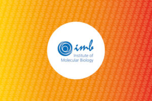 imb - Bühne